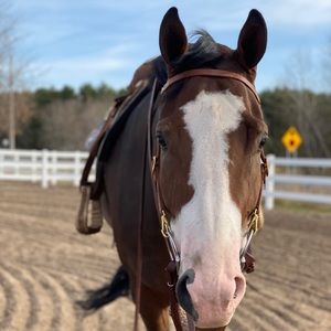 Meet your Posher, Kristy